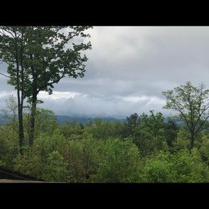 Meet your Posher, Sonya